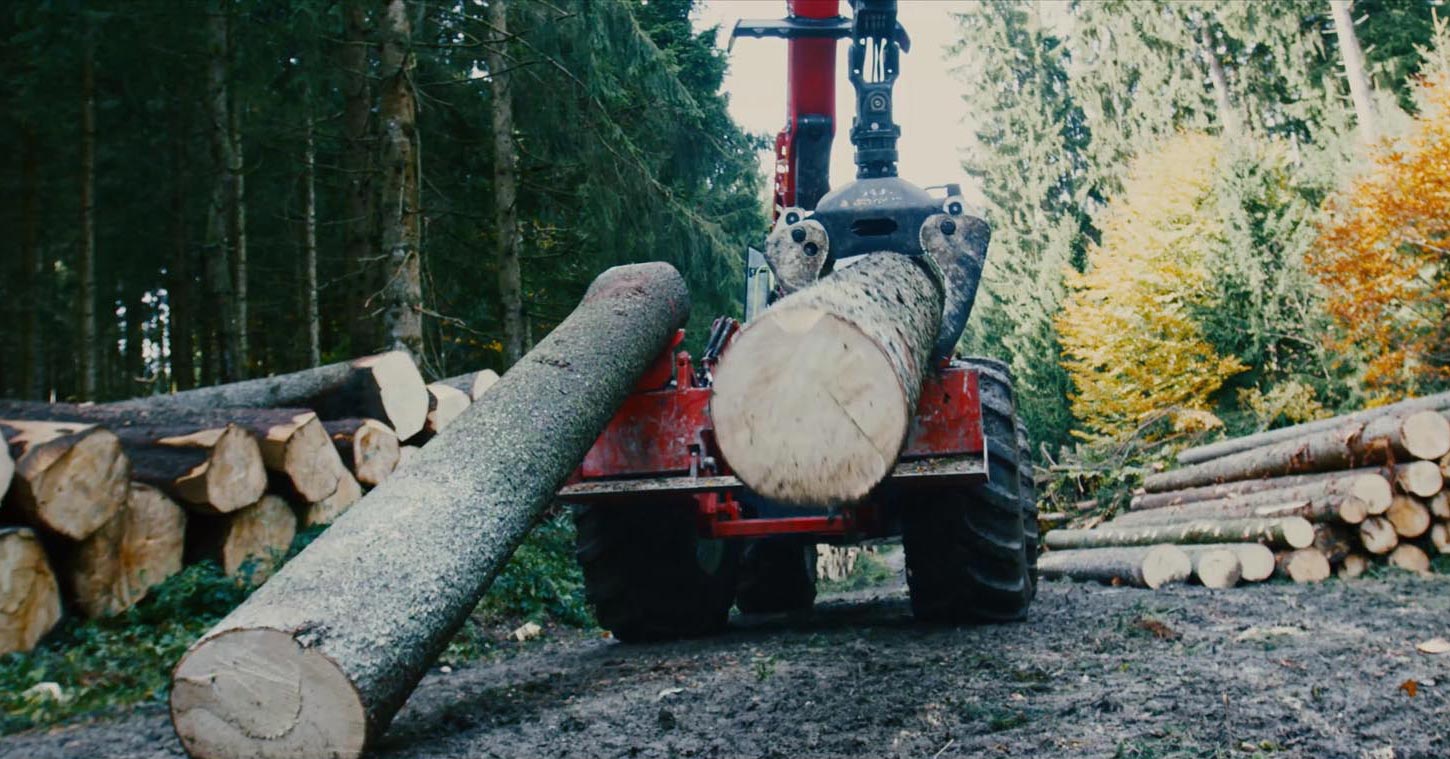 Tragschlepper transportiert Holz