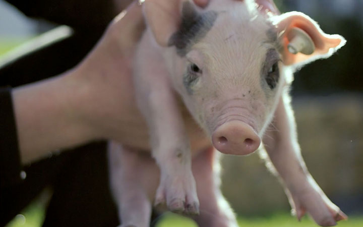 Bungert – Genussmacher